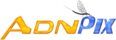 logo_adnpix